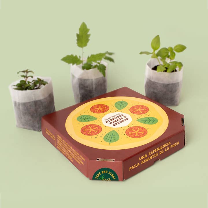 Pizza Lovers🍕❤️: Basil, Tomato, and Oregano for wholesale by Resetea