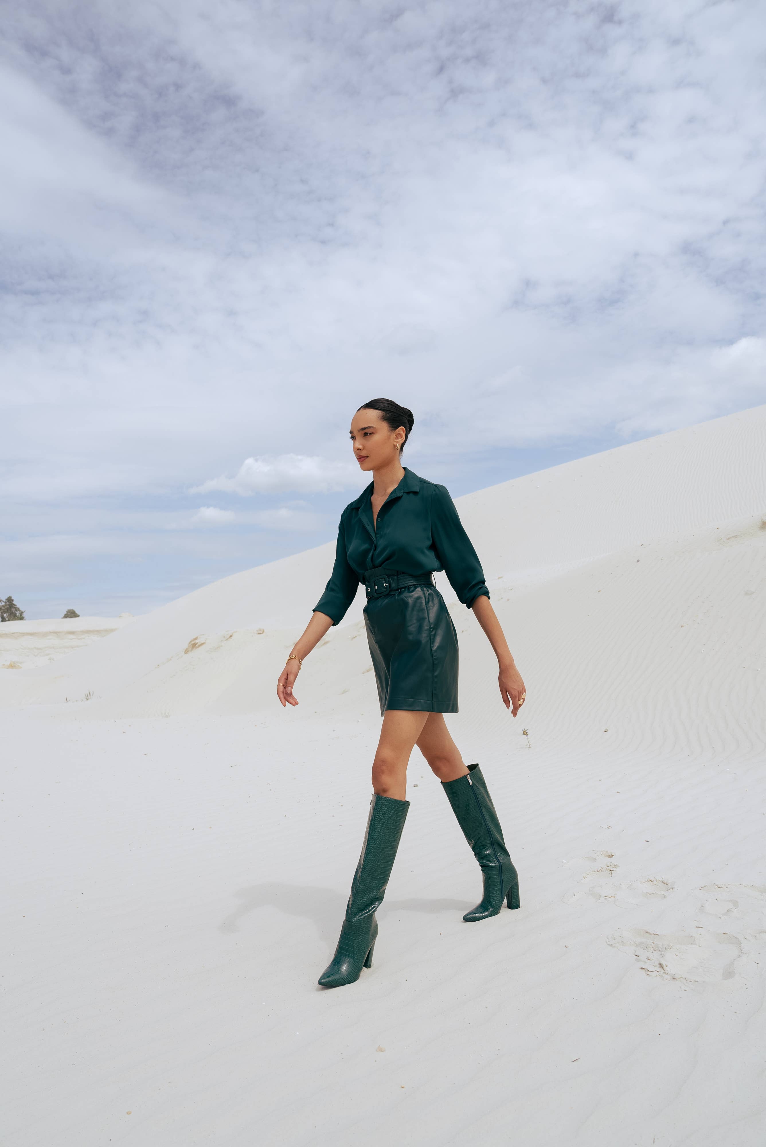 Stephan Paris - Wholesale Boots - Women's - C-132b crocodile pattern pointed boots15