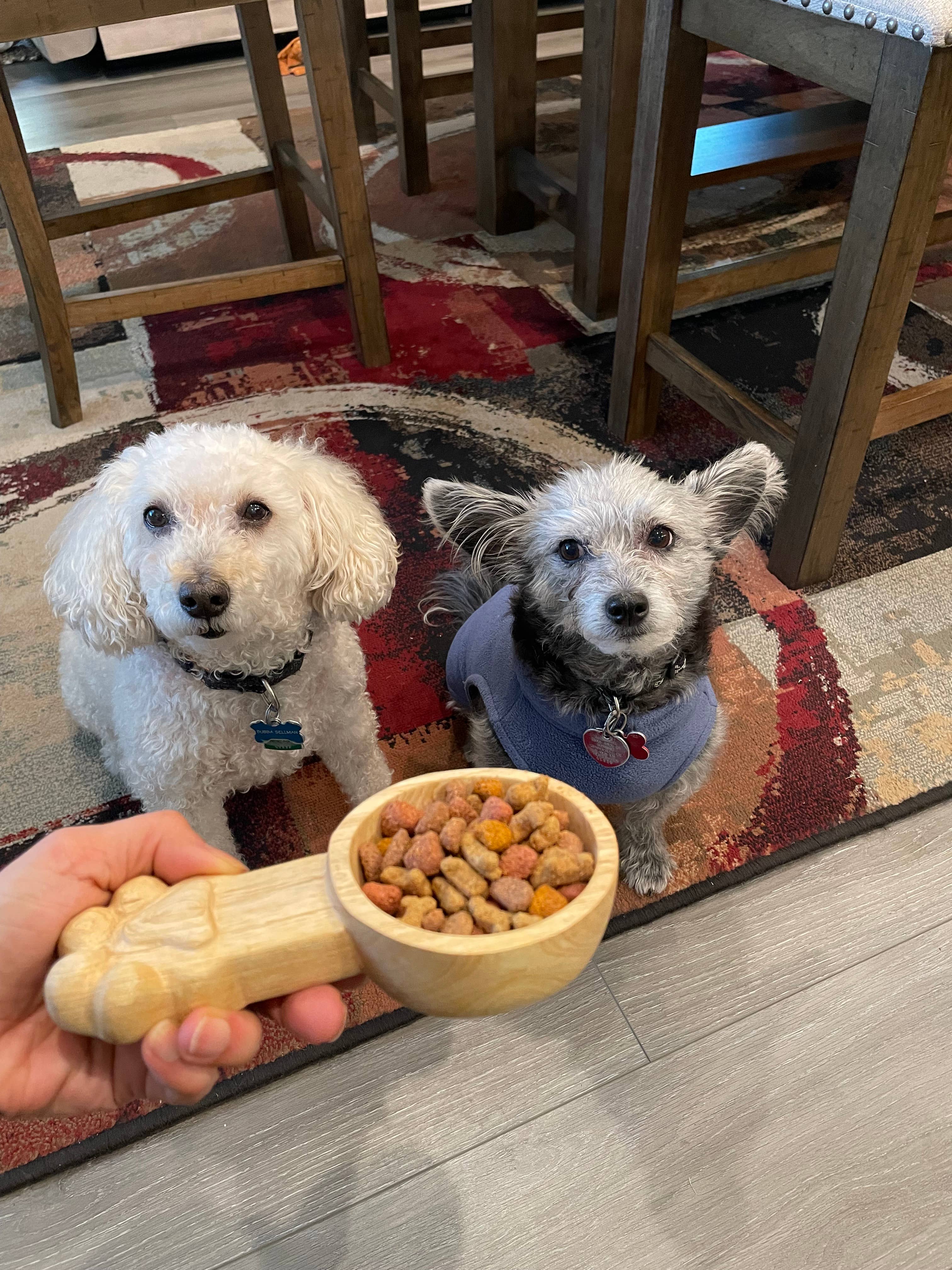 Azizi Life - Wholesale Pet Bowl - Cat/Dog - Hand-Carved Wooden Dog Scoop0