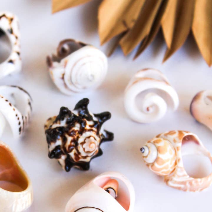 Bali Queen - Wholesale Cocktail/Statement Ring - Bali Shell Rings27