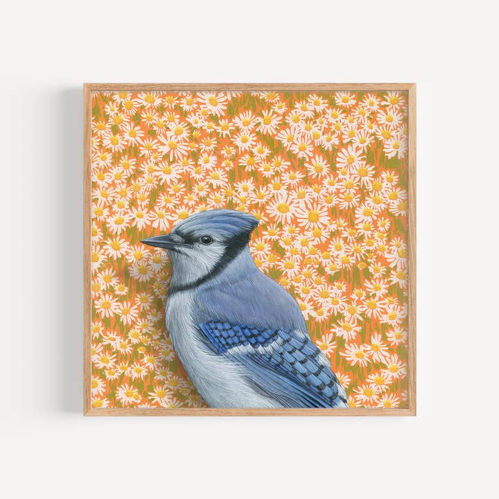Bluejay - Kunstdruk - Illustratie van vogels - Cadeau voor wholesale door Emily Uchytil