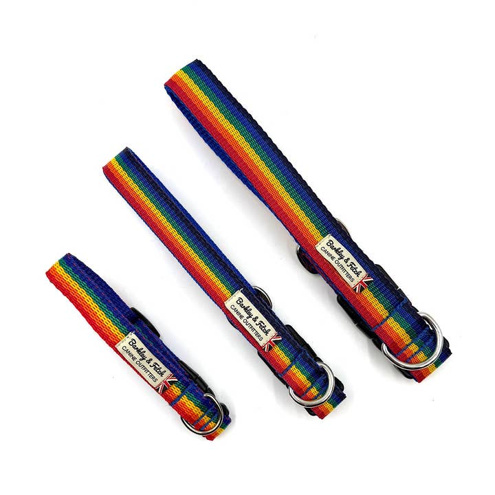 Collier pour chien Rainbow Webbing pour la vente par Barkley and Fetch