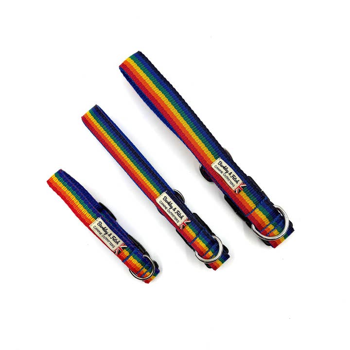 Rainbow Webbing Dog Collar for wholesale by Barkley and Fetch