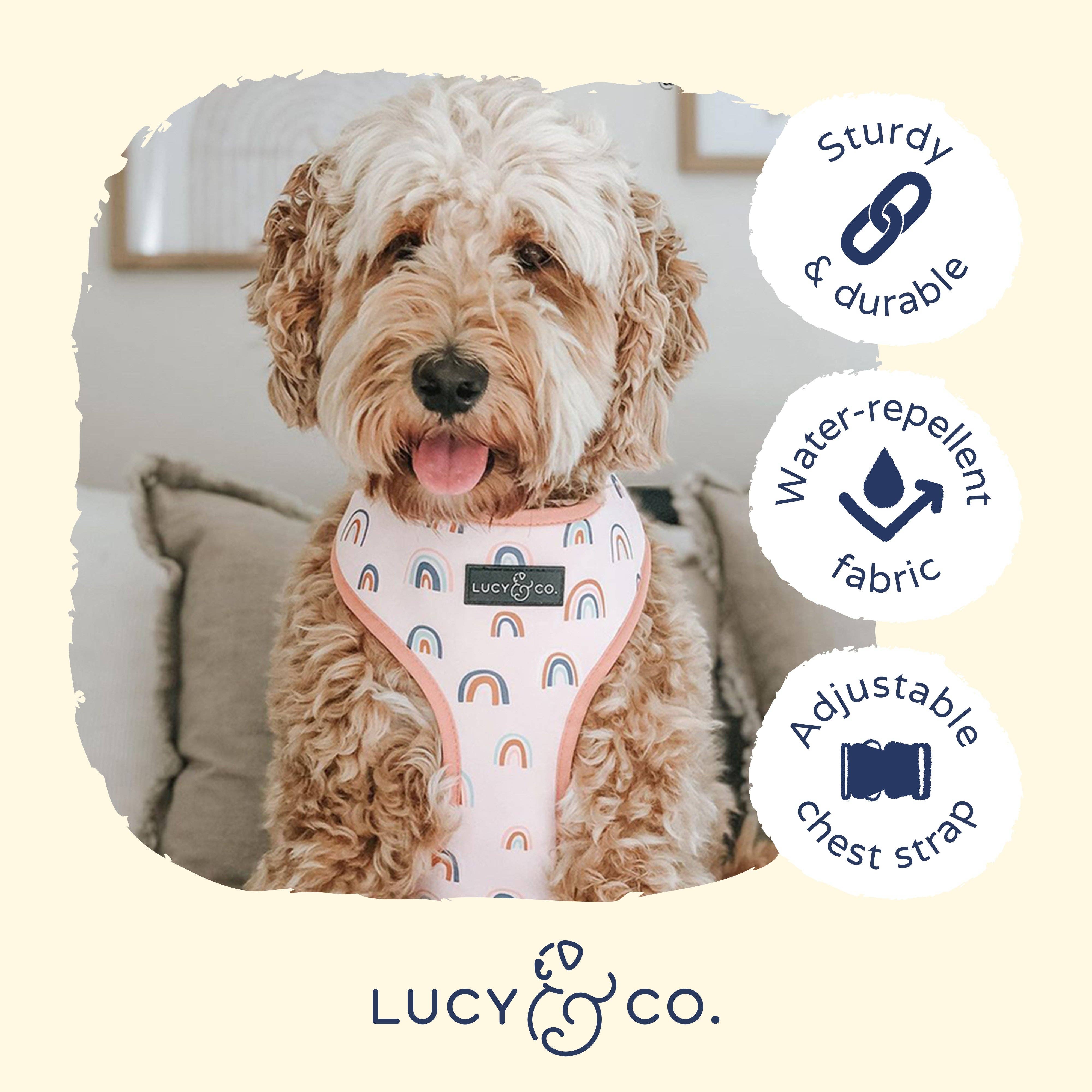 Lucy & Co. – Engroshandel Kæledyrssele – Hund – I skyerne Vendbar Harness6