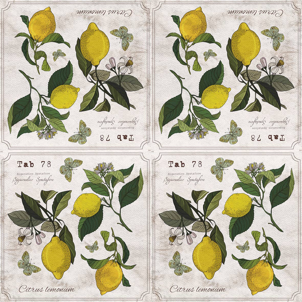 European Excellency - Wholesale Disposable Napkin - Lemon Botany Cocktail Napkins4