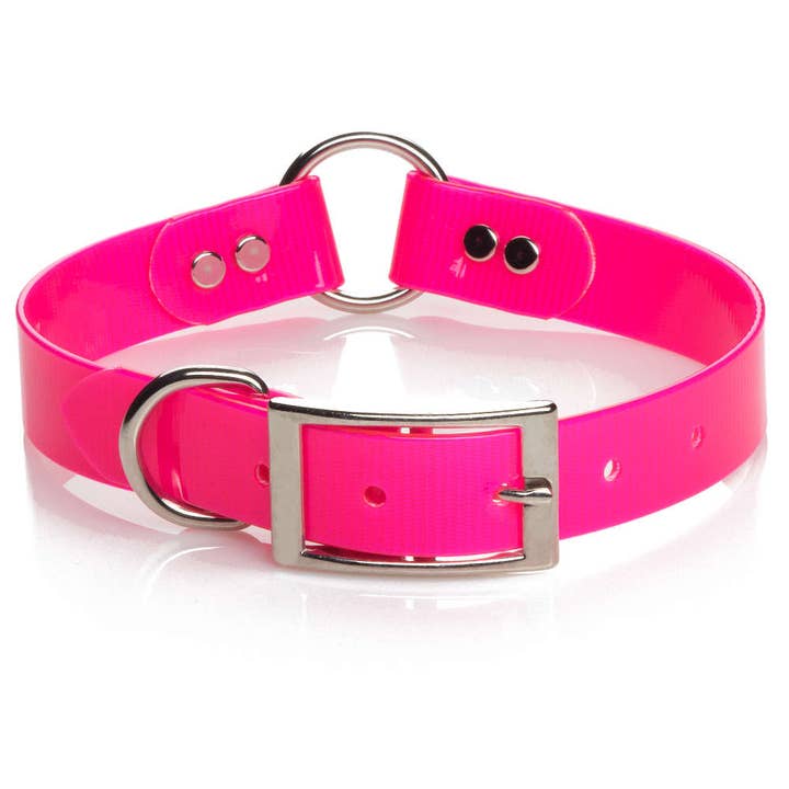 Mendota Pet - Venta al por mayor Collar - Perros - Collares sintéticos de seguridad Mendota, 1 pulgada de ancho