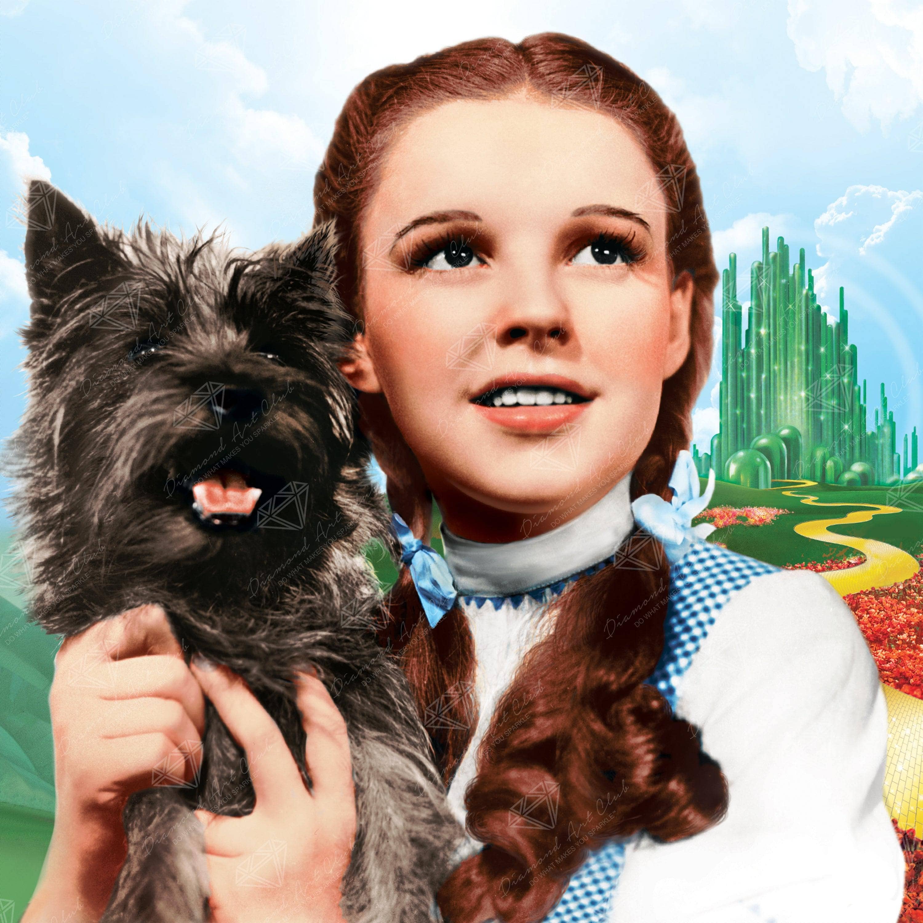 Diamond Art Club - Wholesale DIY Craft Kit - Dorothy and Toto3