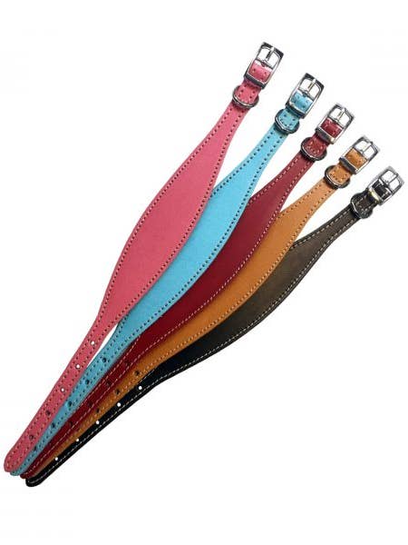 Italian Greyhound Collar for wholesale by Tailored Pet Ltd