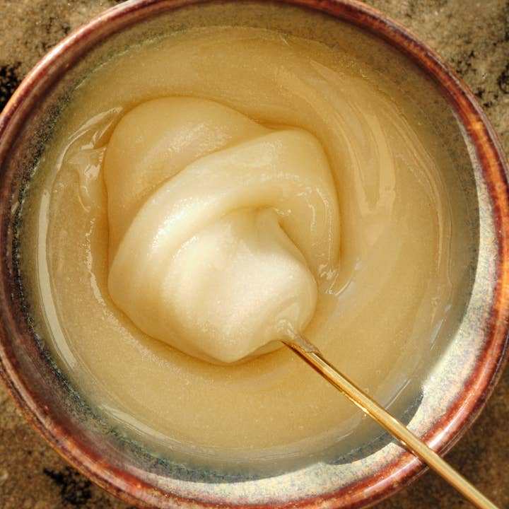 Kind to Bee - Wholesale Honey - Raw Willow Honey, Cruelty-Free, Monofloral, glass jar