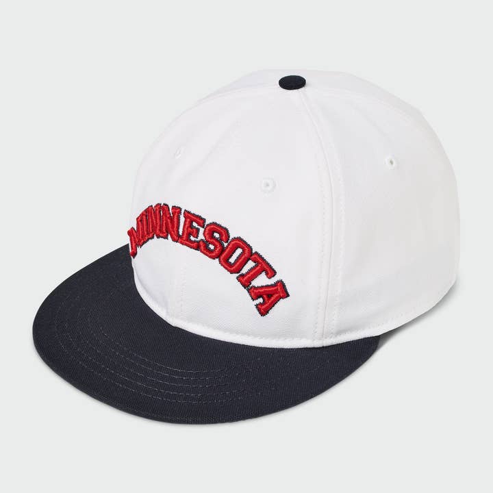 Minnesota Upside Down - Upside Down Flatbill for wholesale by Sandlot