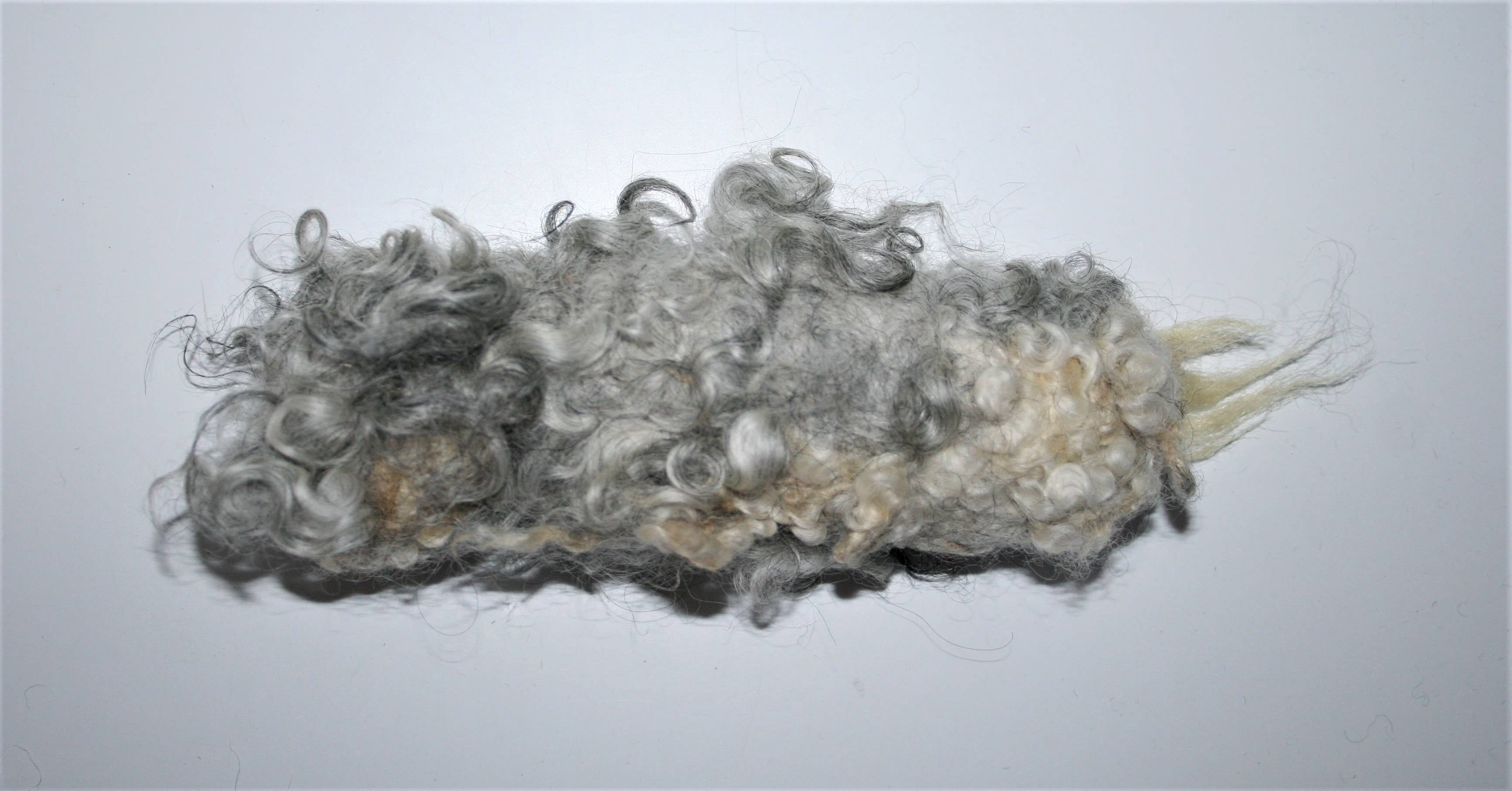 herzundhund - Wholesale Pet Rope Toy - Dog - The Wuschel3