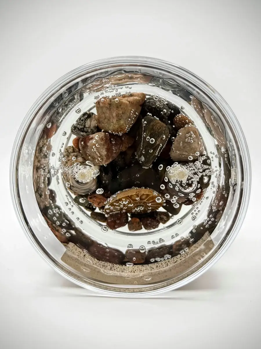 Devonian Coast - Wholesale Novelty Candle - Ammonite Fossil Gel Candle – Large 8oz Wax2