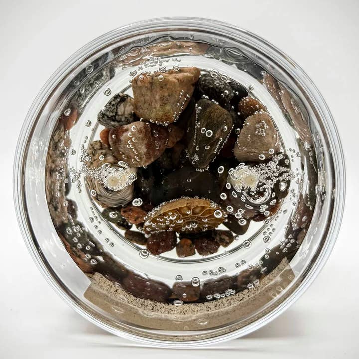 Devonian Coast - Wholesale Novelty Candle - Ammonite Fossil Gel Candle – Large 8oz Wax2