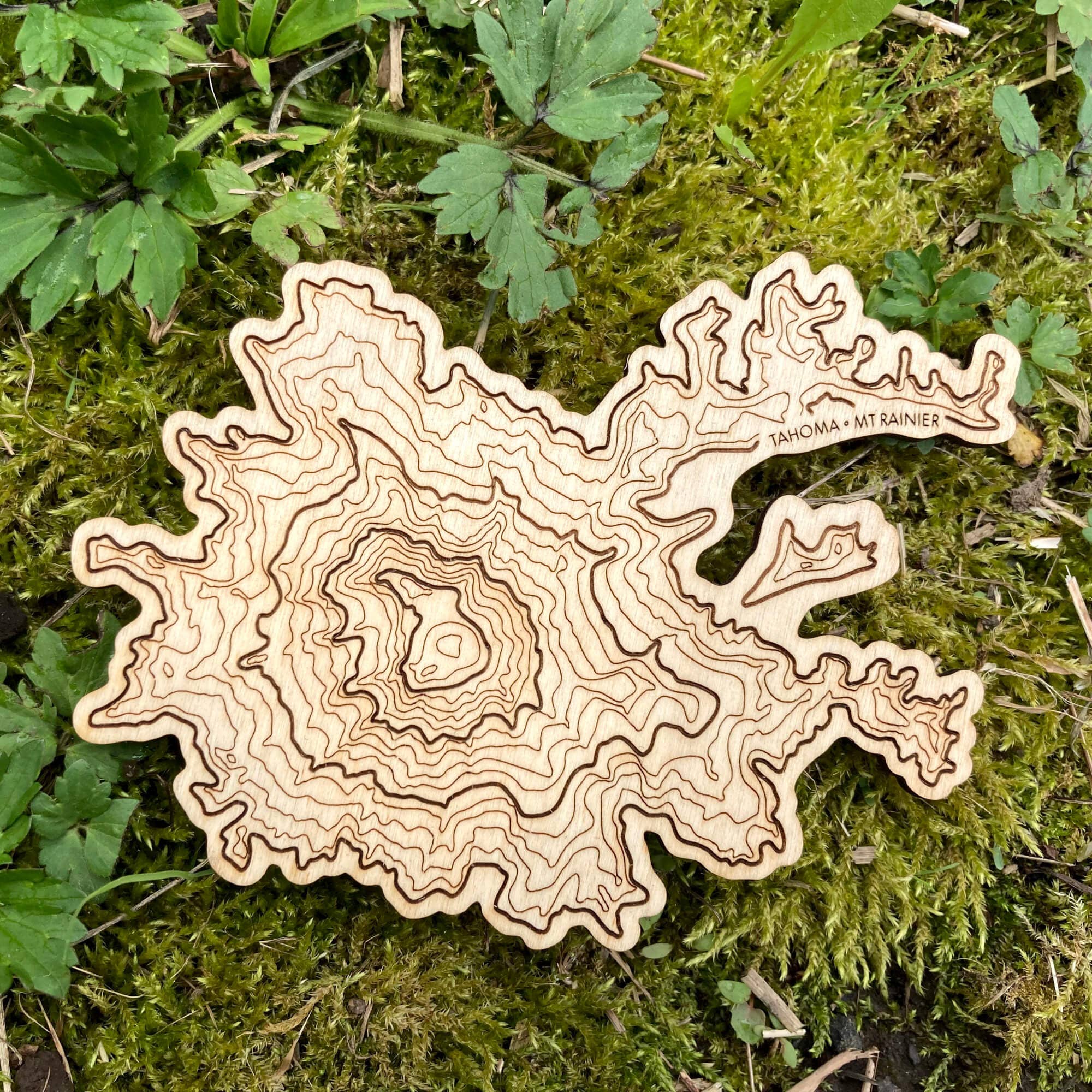 SML | Simple Modern Living - Wholesale Coasters - Mt Rainier Topography Coaster - Single1