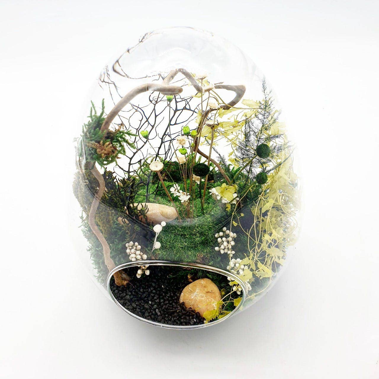 au detour du monde – Großhandel Terrarium – Stabilisiertes Terrarium Ei M1