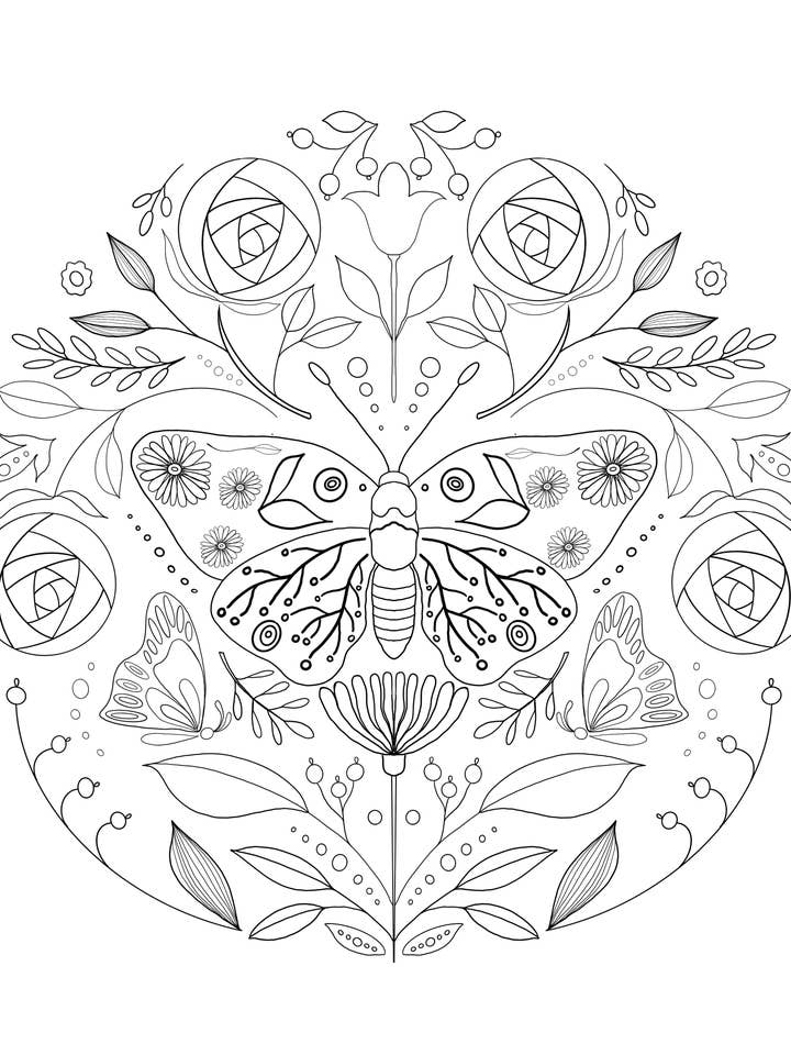 square colouring card. Night moth in the garden for wholesale by Carrie Anne Arts co.