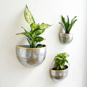 Large Indoor Planters, Modern Plant Pots and Containers at Wholesale Prices  - NewPro