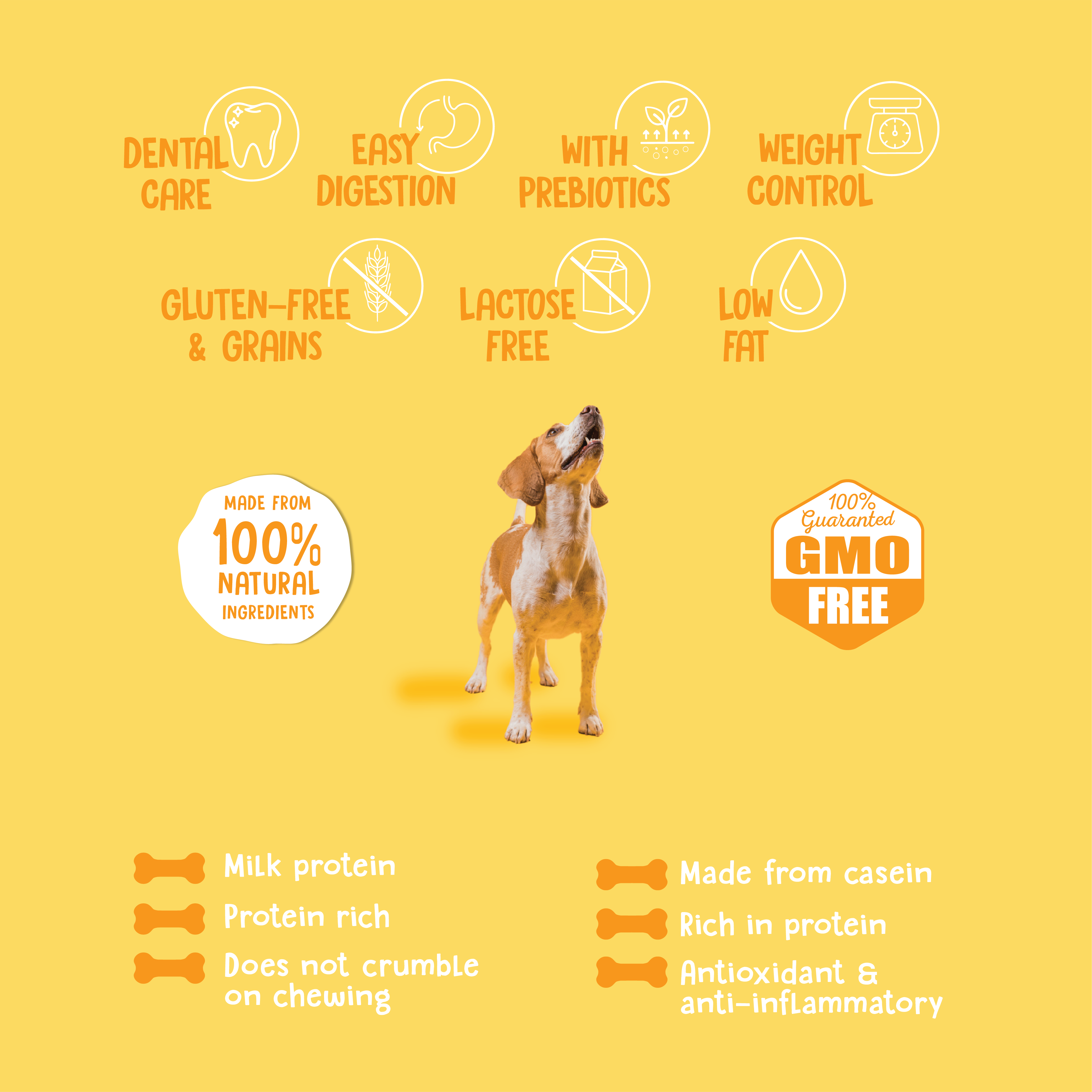 PLUTOS CHEWS - Wholesale Pet Treats - Dog - Dog Dental Chew Cheese & Beef  XL (10)3