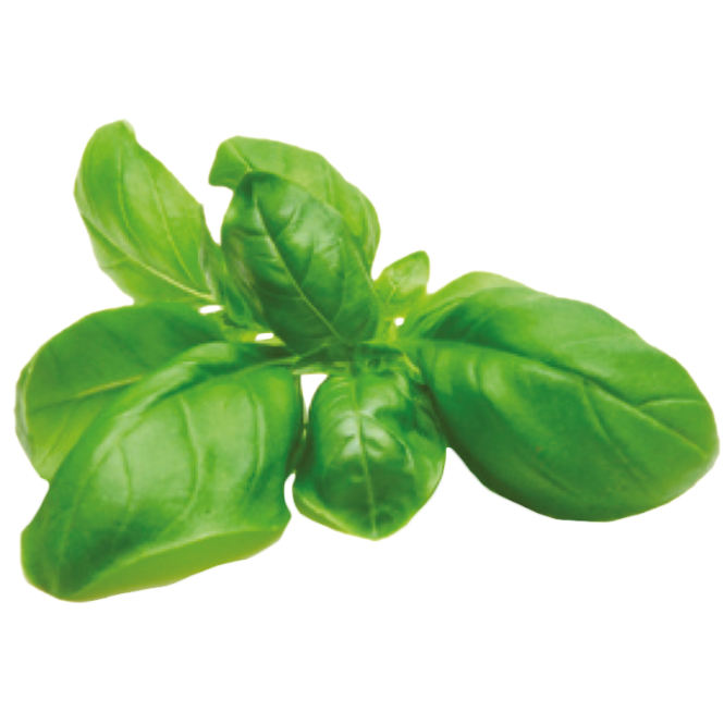 Sprigbox - Wholesale Plant Seeds - Basil Grow Kit | Wooden Planter Box | Herb Gardening2