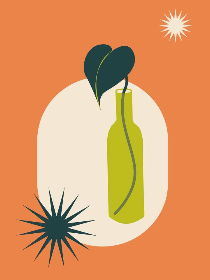 Propagation Station #3: Heartleaf Phildendron for wholesale by fern (like the plant)