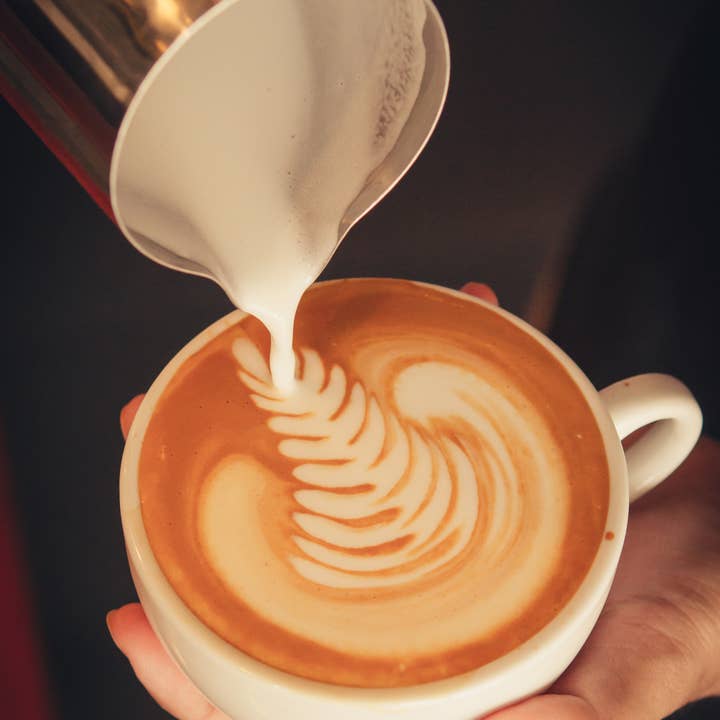 Domingo Caffè - Vendita all'ingrosso Caffè in grani - Tosca Espresso Italiano (Scatola contenente 6 Kg)7