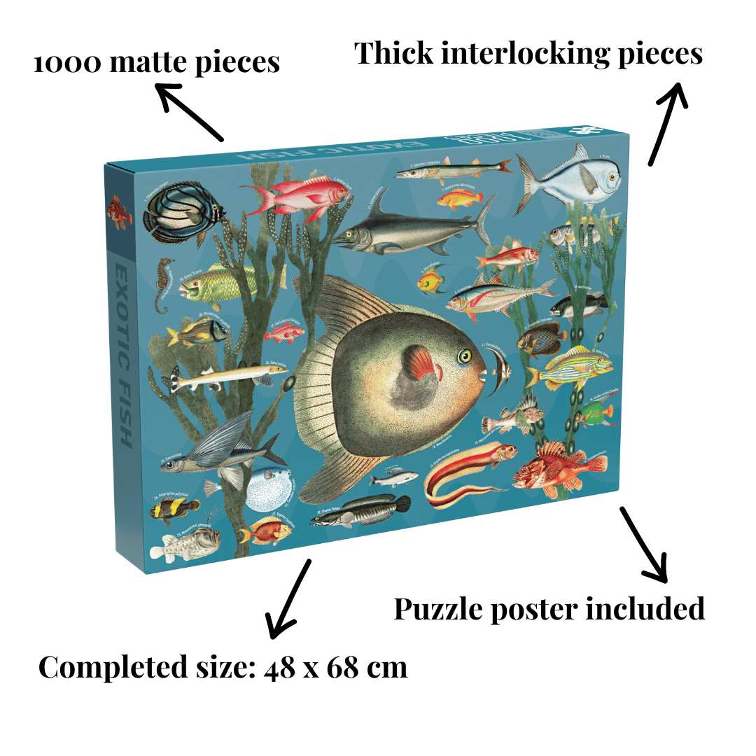 Penny Puzzle – wholesale Puzzle – Adult – Exotic Fish 1000 piece Vintage jigsaw puzzle1