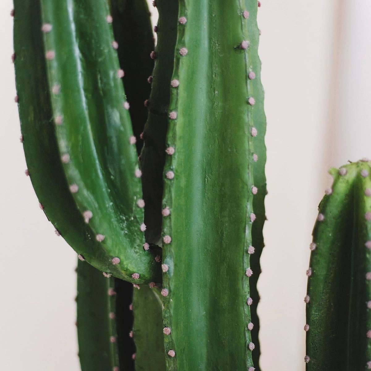 Maia Shop – Engroshandel Kunstig plante – Kunstig kaktus 130 cm1