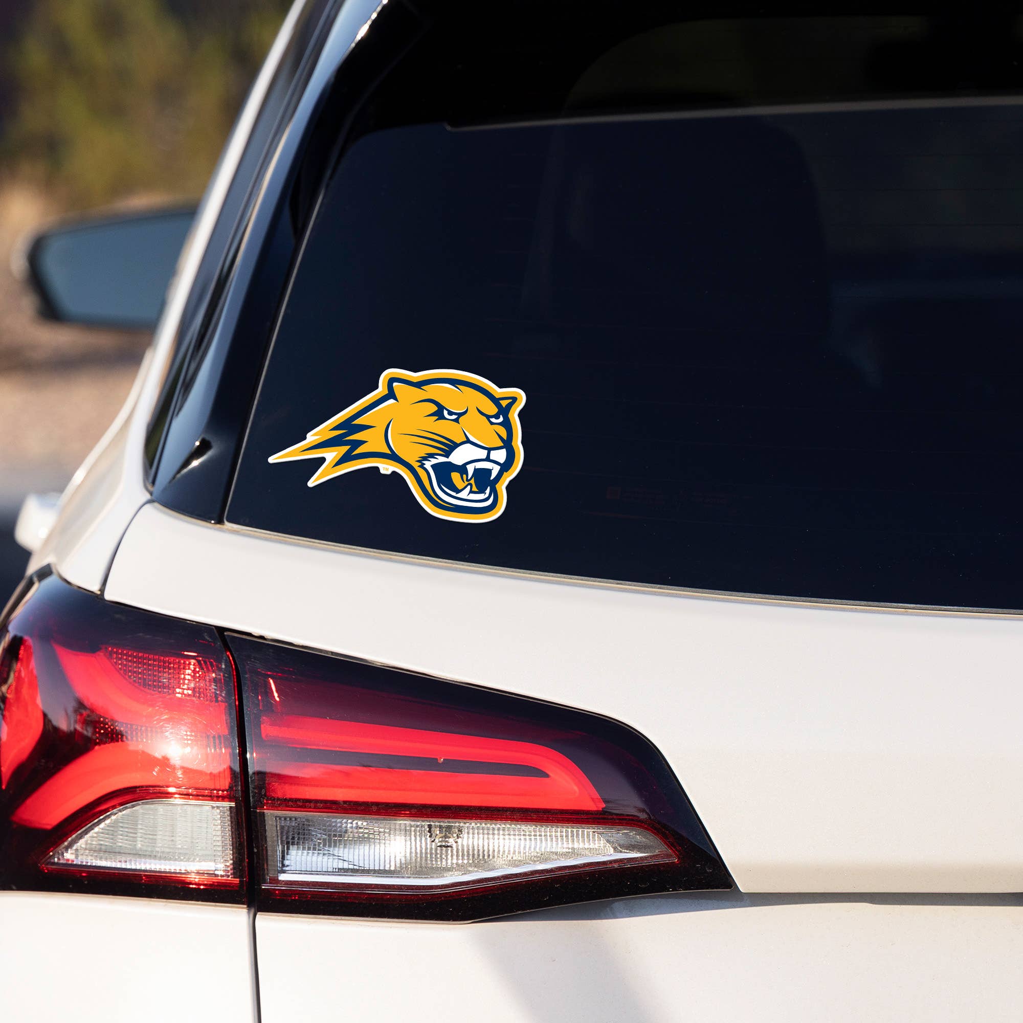 Rico Industries - Wholesale Car Decorative Charm - Unisex - NCAA  Averett Cougars  Medium Die Cut Decal2
