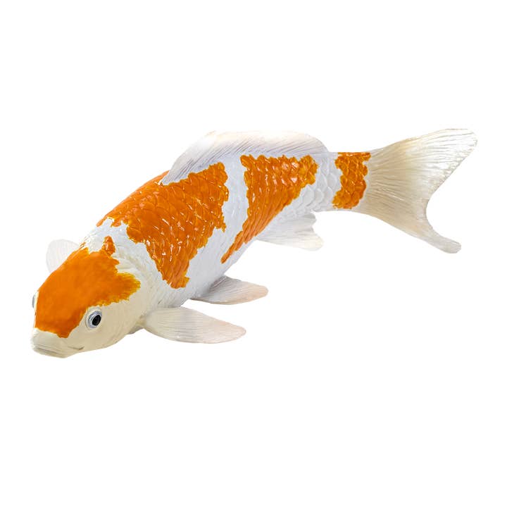 Mojo Koi Carp - Ochiba Shigure Koi (Gold White) New! for wholesale by Mojo
