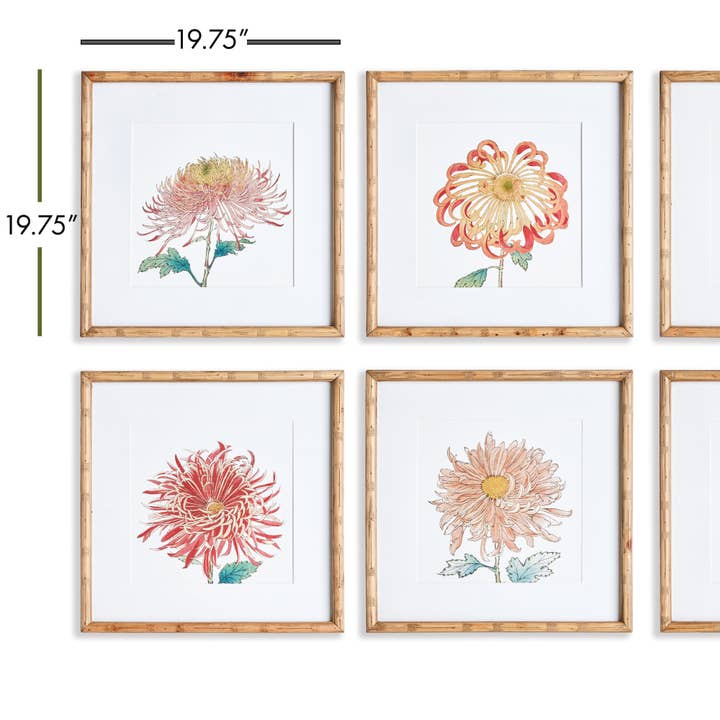 Pink Colorful Chrysanthemum Prints, Set Of 6 for wholesale on Faire2