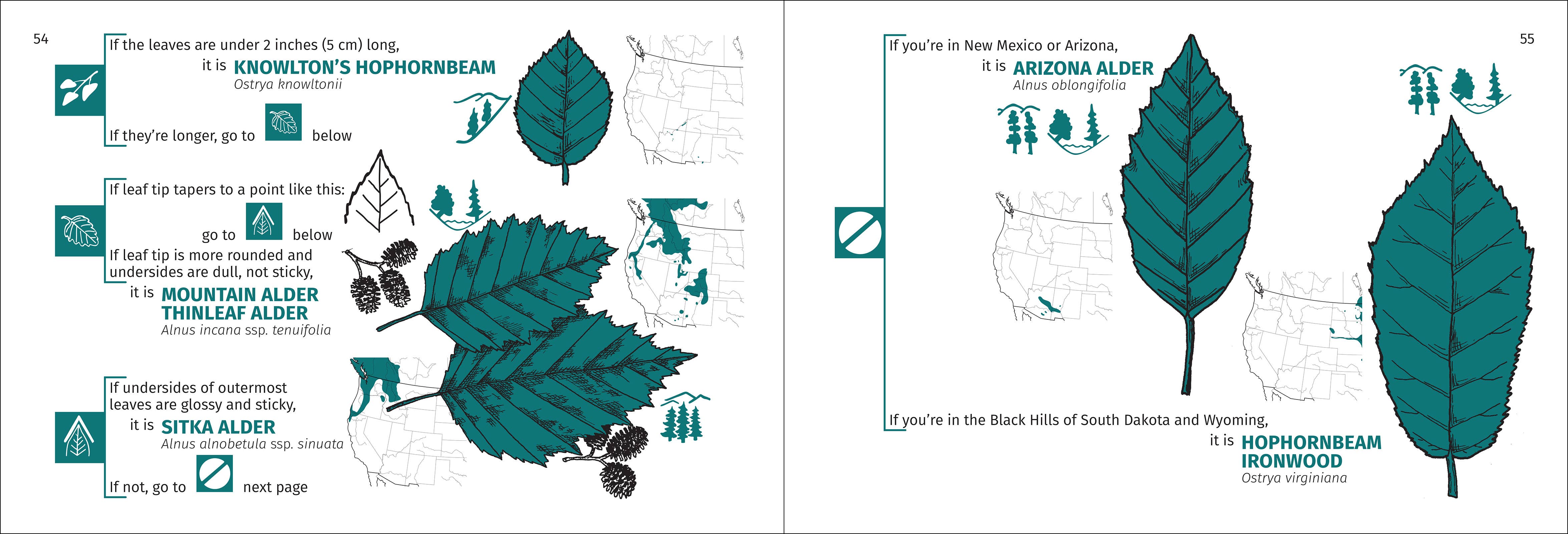 AdventureKEEN - Wholesale Nature & Outdoors - Rocky Mountain Tree Finder 3rd Edition9