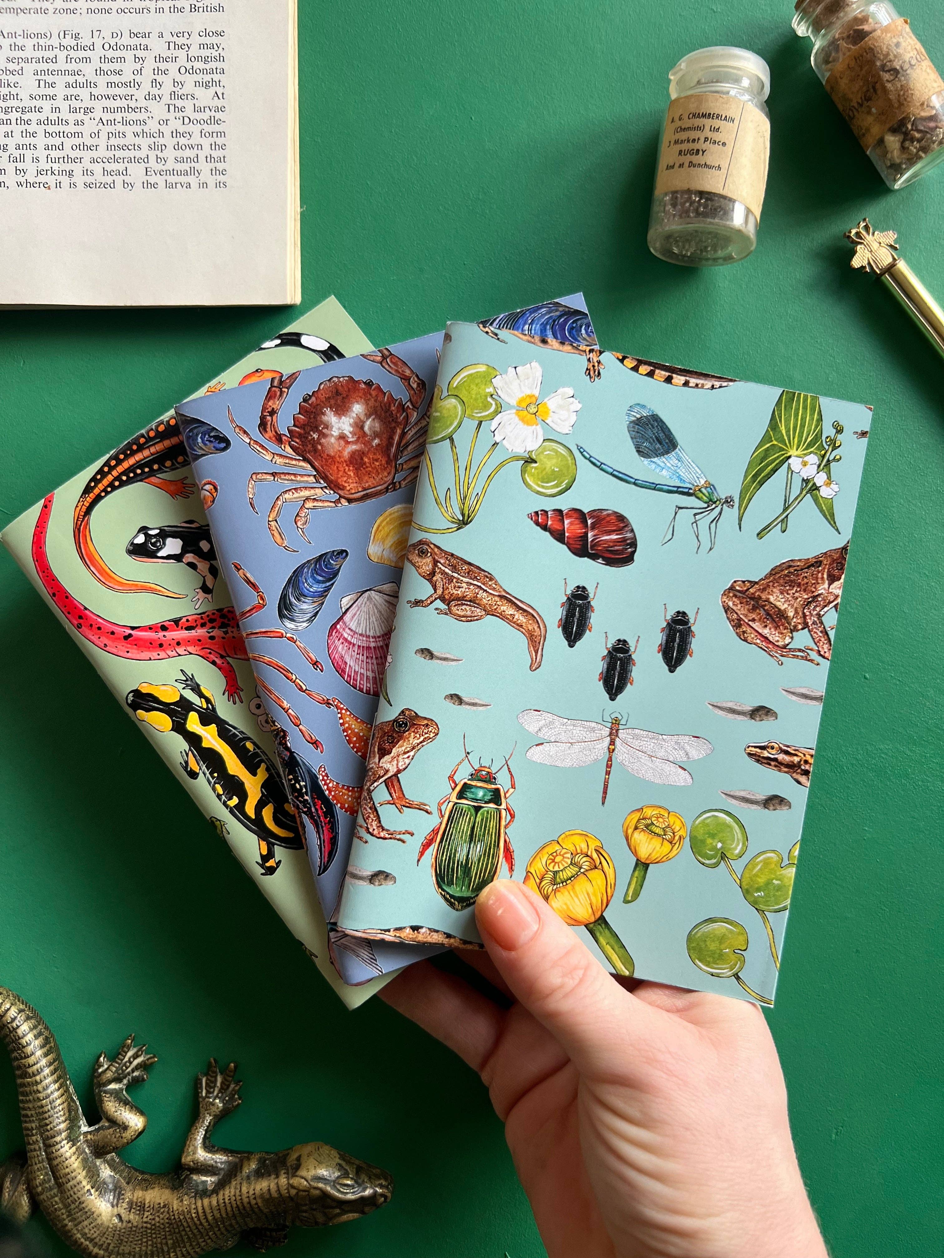 Tansy Moore - Wholesale Notebook - Wildlife Pocket Notebook Set1