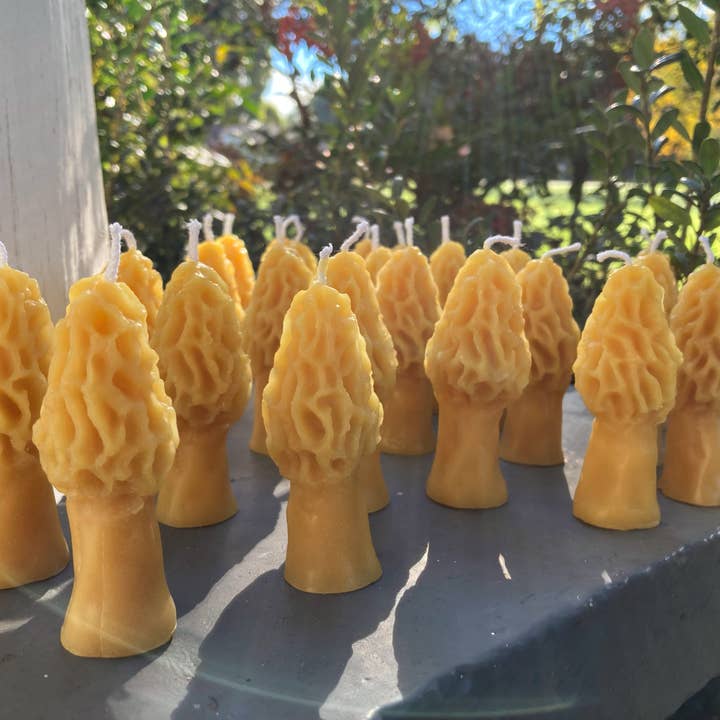 King Cobra Apiary Honey - Wholesale Novelty Candle - Morel Mushroom Beeswax Candle1
