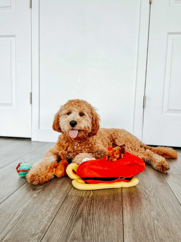 Midlee Designs – wholesale Pet plush toy – Dog – Midlee Santa Sleigh Find a Toy Christmas Dog Toy1