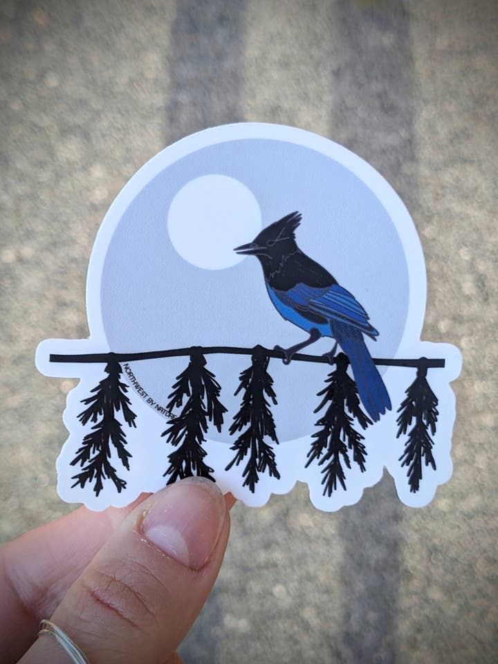 Steller's Jay Bird Sticker for wholesale by Northwest By Nature