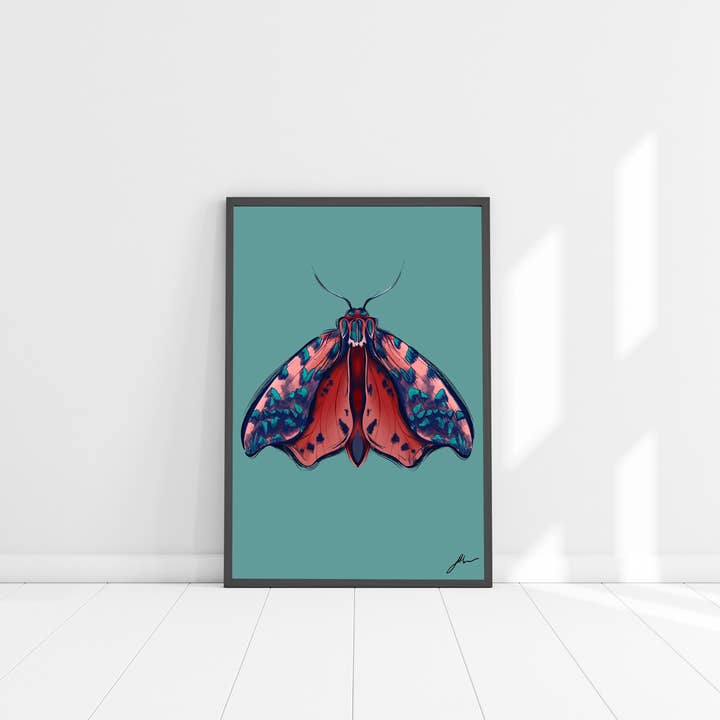 CORAL MOTH FINE ART PRINT for wholesale by Fi Moszoro Design & Illustration