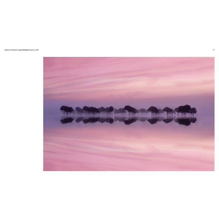 W. W. Norton - Wholesale Display Book - Aviary: The Bird in Contemporary Photography3