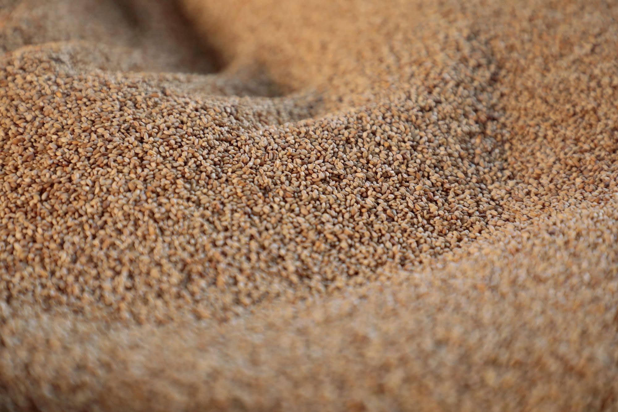 Japan Artisans - Wholesale Seeds/Kernels - Henko–Roasted White Sesame seeds80g | Kyoto, Japan2