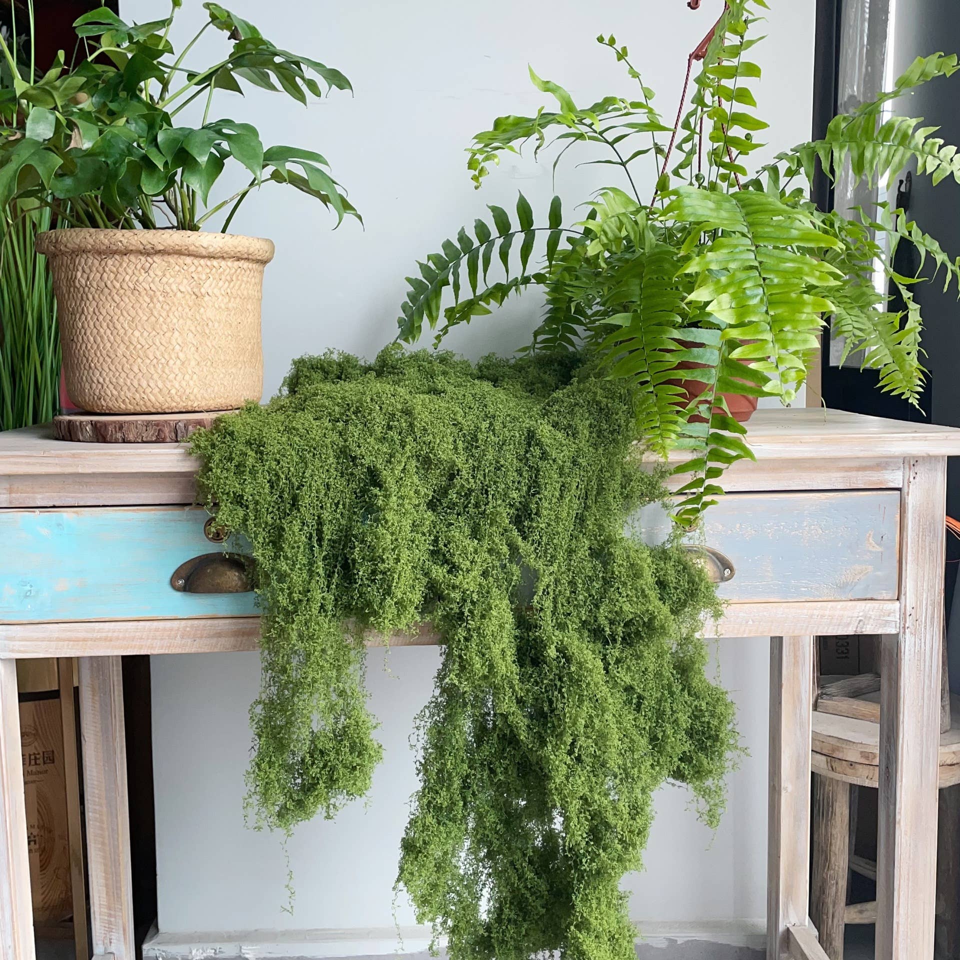 ACNITE(We cover U.S. import duties) - Venta al por mayor Plantas artificiales - Hilo artificial, musgo, decoración rústica, hierba falsa7