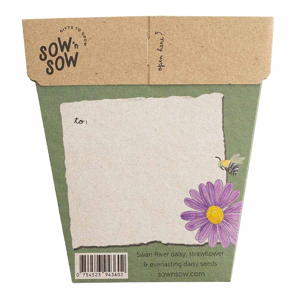 Sow 'n Sow - Wholesale Birthday card - Birthday Wishes Gift of Seeds (Australia Only)1