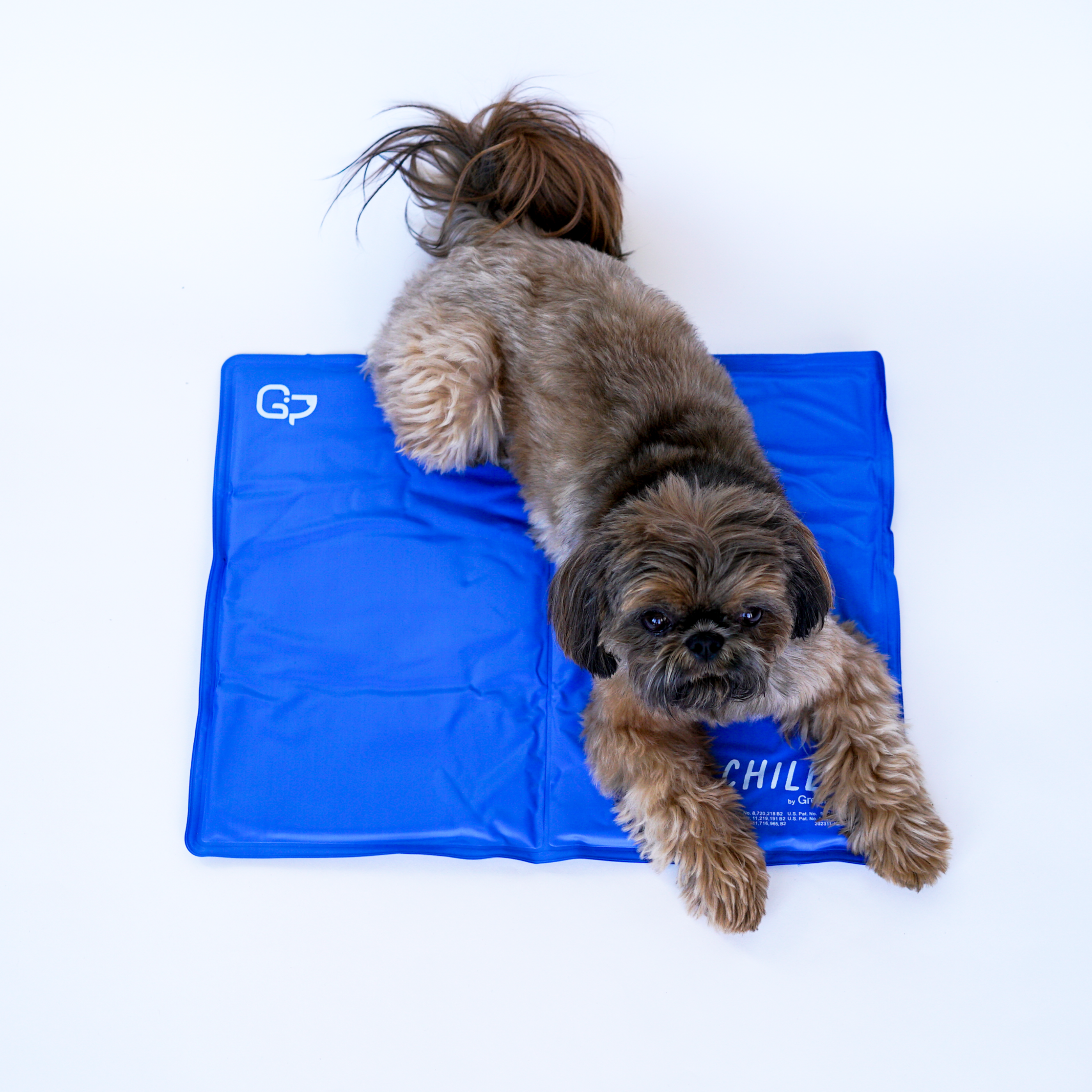 The Green Pet Shop - Vendita all'ingrosso Tappetino - Cani - Tappetino refrigerante Chillz in gel per animali8