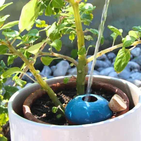 Poterie lutton - Vente Arrosoirs - Ollas Galet 15 cl – Arrosage autonome et stylé2