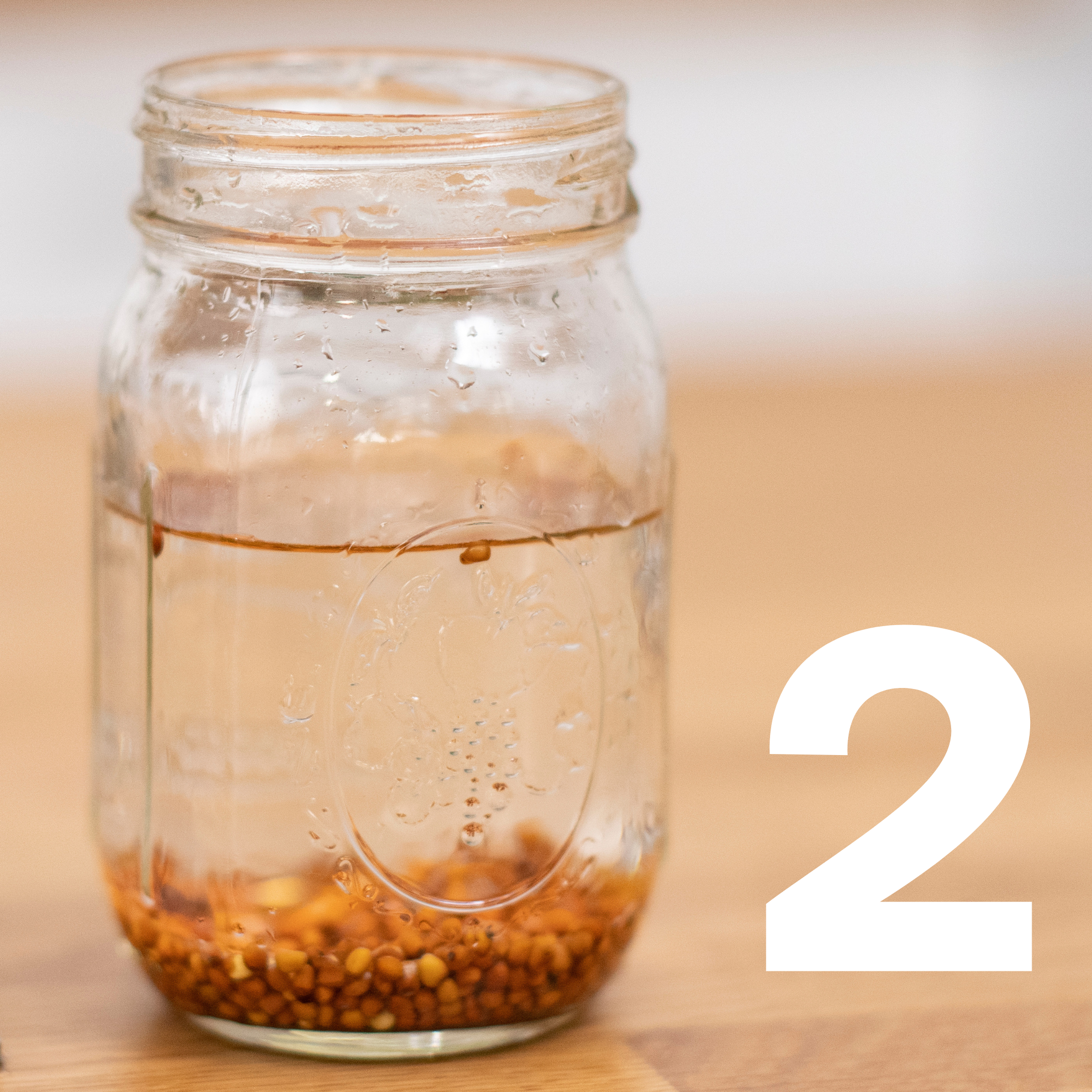 Eco warehouse - Wholesale Kitchen Tool/Gadget - Sprout Huggers ® Sage Green6