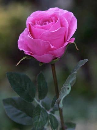 Artificial Bright Pink Large Rose Bud for wholesale by Mezu Silk Flowers