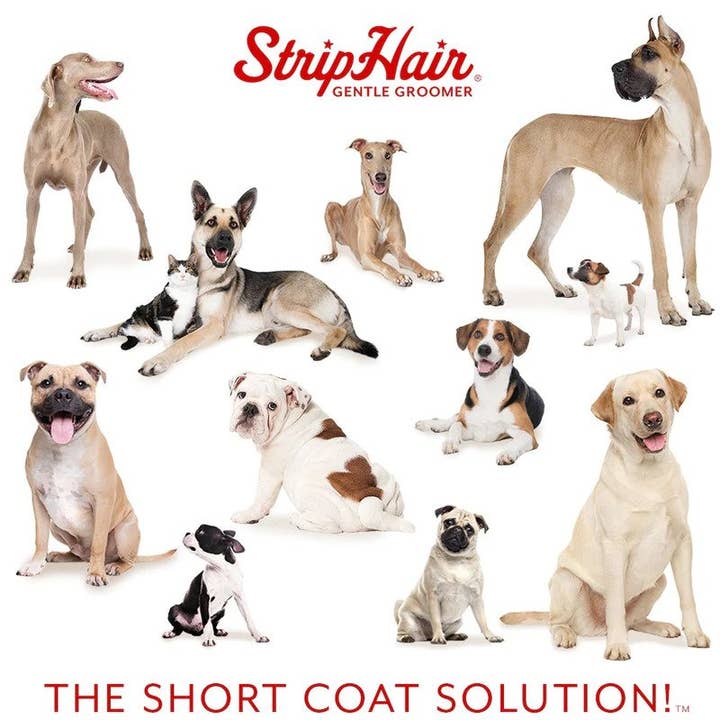 Betty's Best - Wholesale Pet Grooming Aid - Dog - StripHair Gentle Groomer Sensitive for Pets