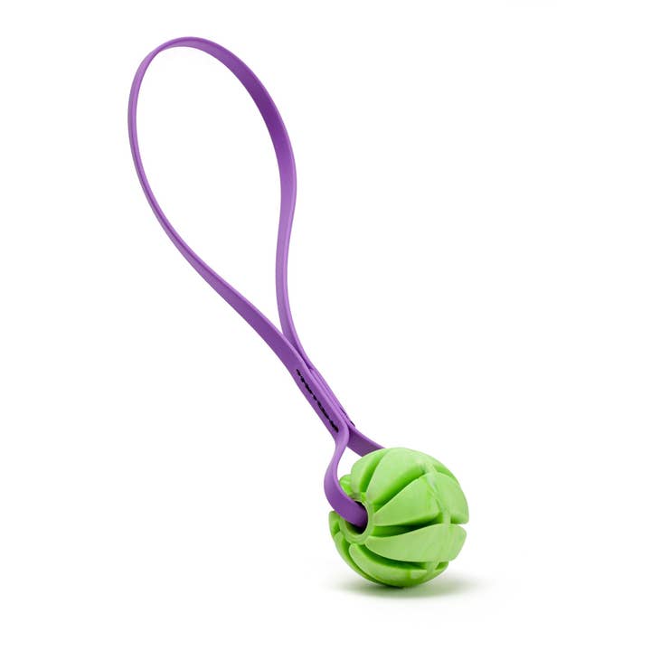 Dogline - Wholesale Pet Fetch Ball - Dog - Rubber Spiral Ball with Biothane Handle6