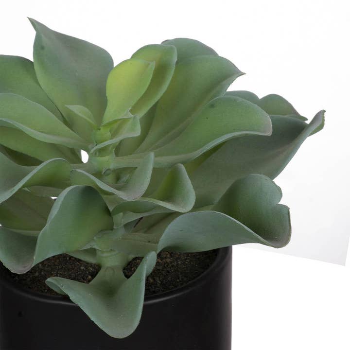 A&B Home Group Inc. – wholesale Artificial plant – Potted Succulent1