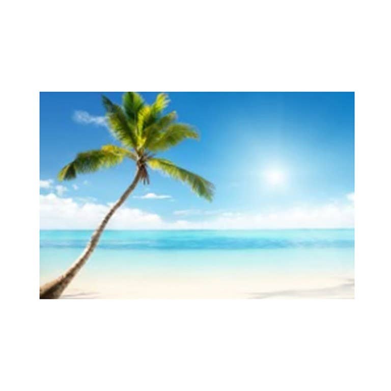 pomace Bluetooth-tryck Tavla Hav Palma Blå CM80x60x4 för wholesale på Faire2