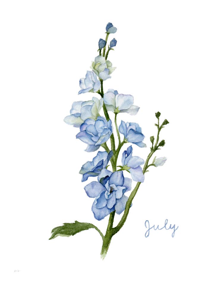 Stampa del Fiore di Nascita di Luglio, Delphinium – Arte da Parete per la vendita all'ingrosso da parte di Art by Emma Lian