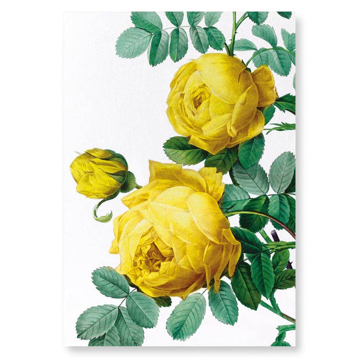 ROSES JAUNES : impression d'art pour la vente par Ezen Trade